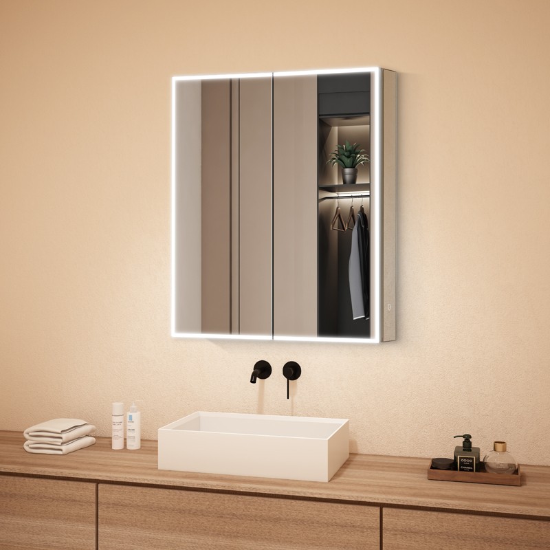 Mirror storage cabinet